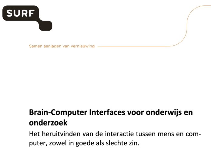 Surf, 2024