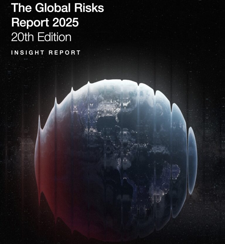 WEF (2025): Global Risks Report 2025